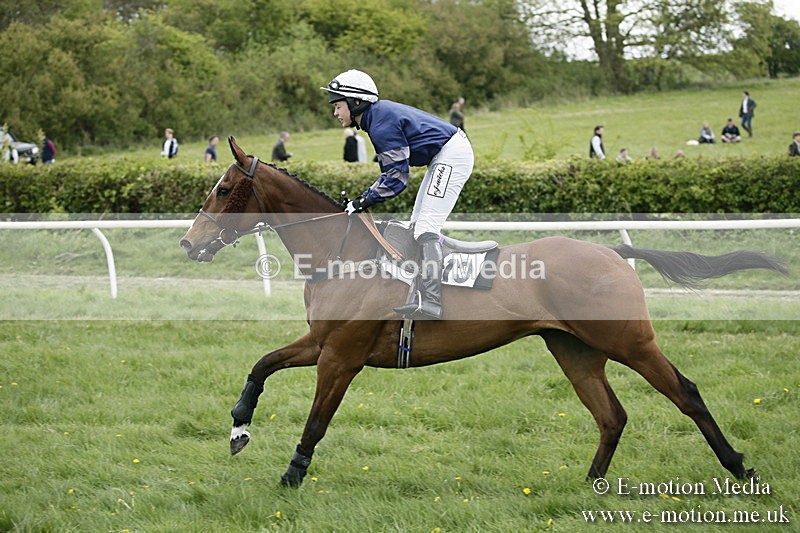 PtP 170417 508 - Old Berks Point-to-Point Lockinge 17/04/17