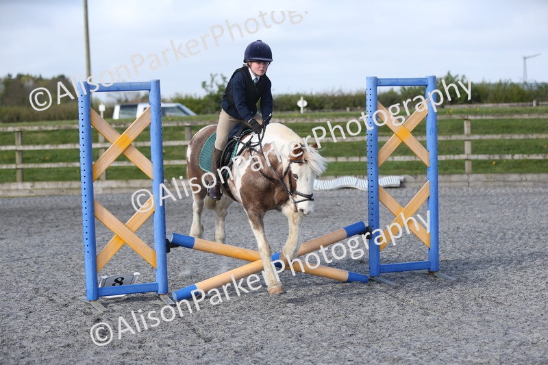 20260412-0065 - Show Jumping