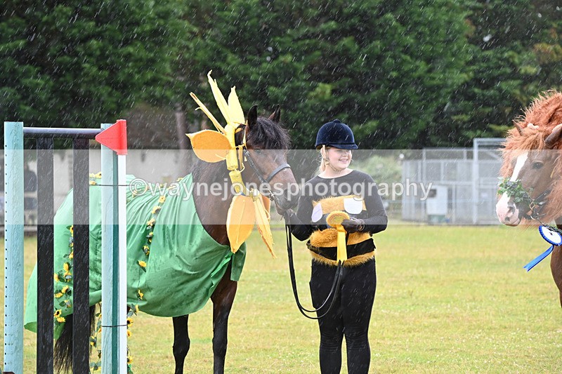 WJ6_9401 - Class 11 Fancy Dress