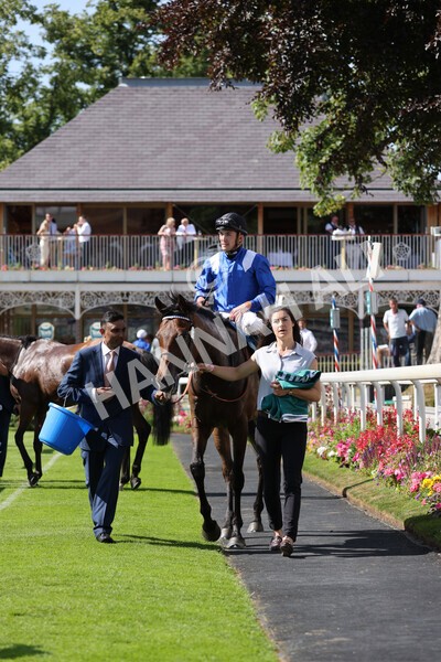 yr09072022r5-43 - Race 5 4.05pm John Smith's Cup