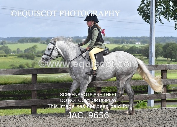 JAC_9656 - CLASS 1 Nursery Novice Working Hunter (0.50m)