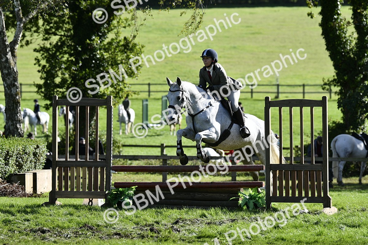 SBM_50024 - S34 - Novice & Newcomers Working Hunter
