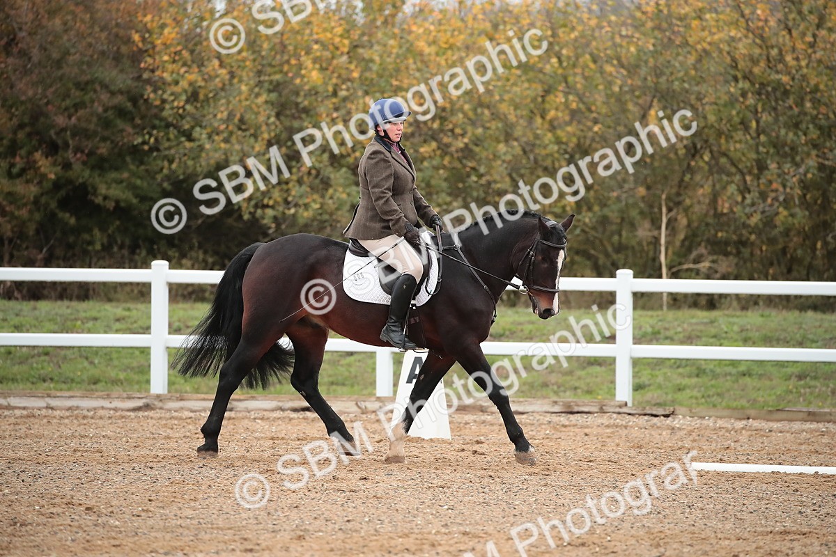 SBM_000446 - Intro 2