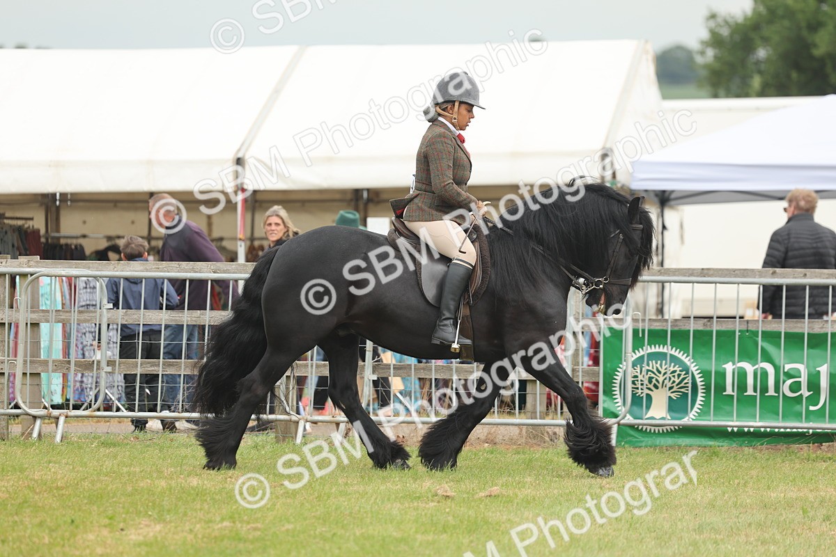 SBM_08934 - Class 78-80 - Ridden M&M Non Welsh Ponies
