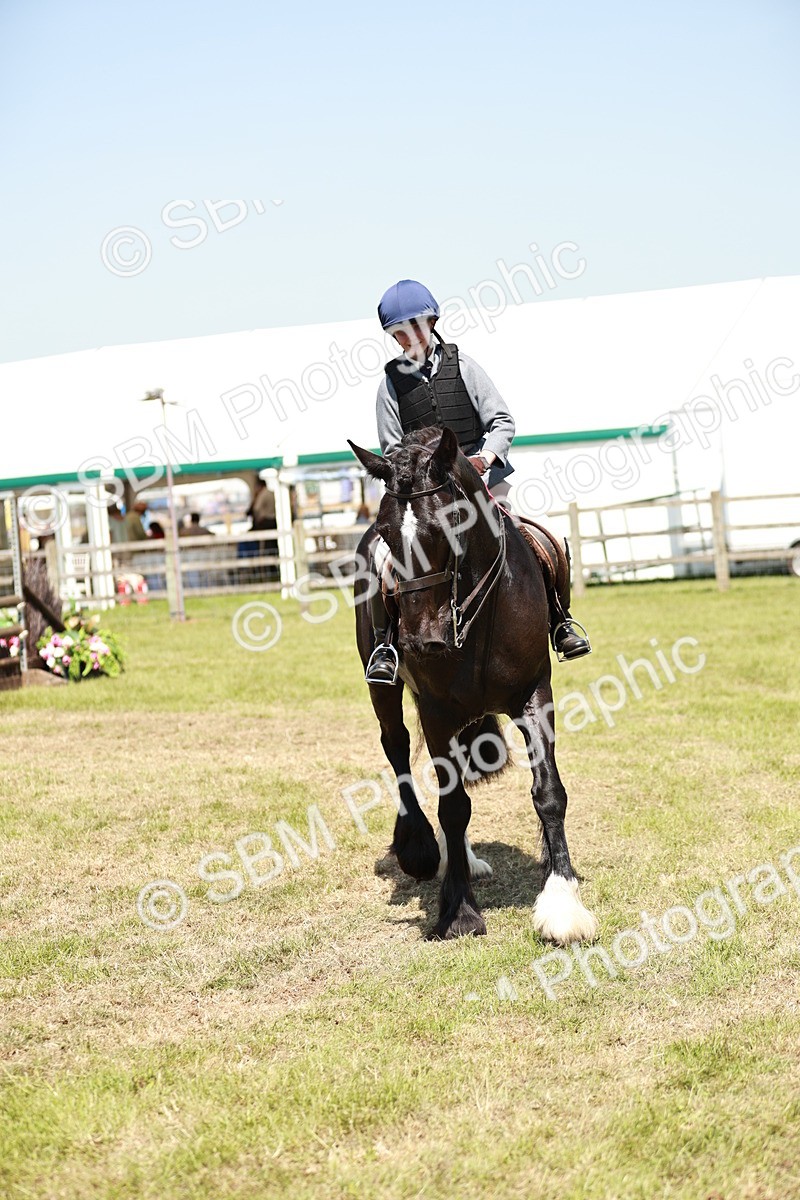 SBM_17370 - Class 110-111 - Training Stakes (70cms 80cms)