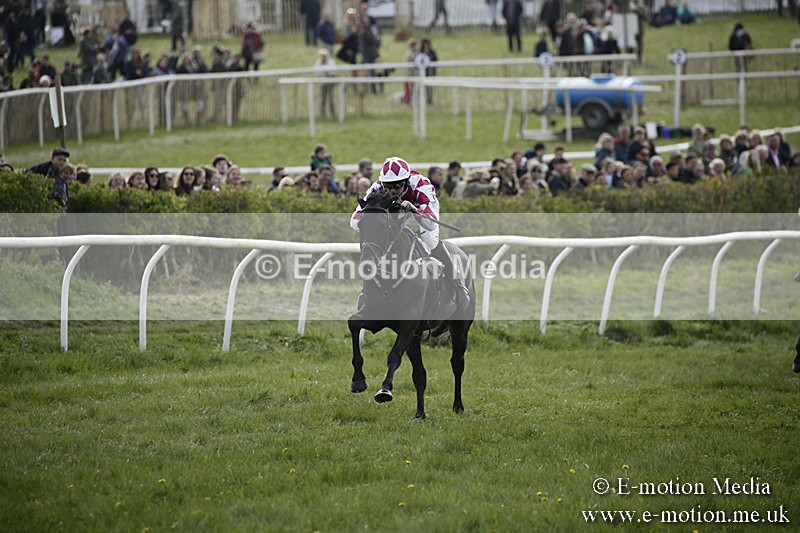 PtP 170417 343 - Old Berks Point-to-Point Lockinge 17/04/17