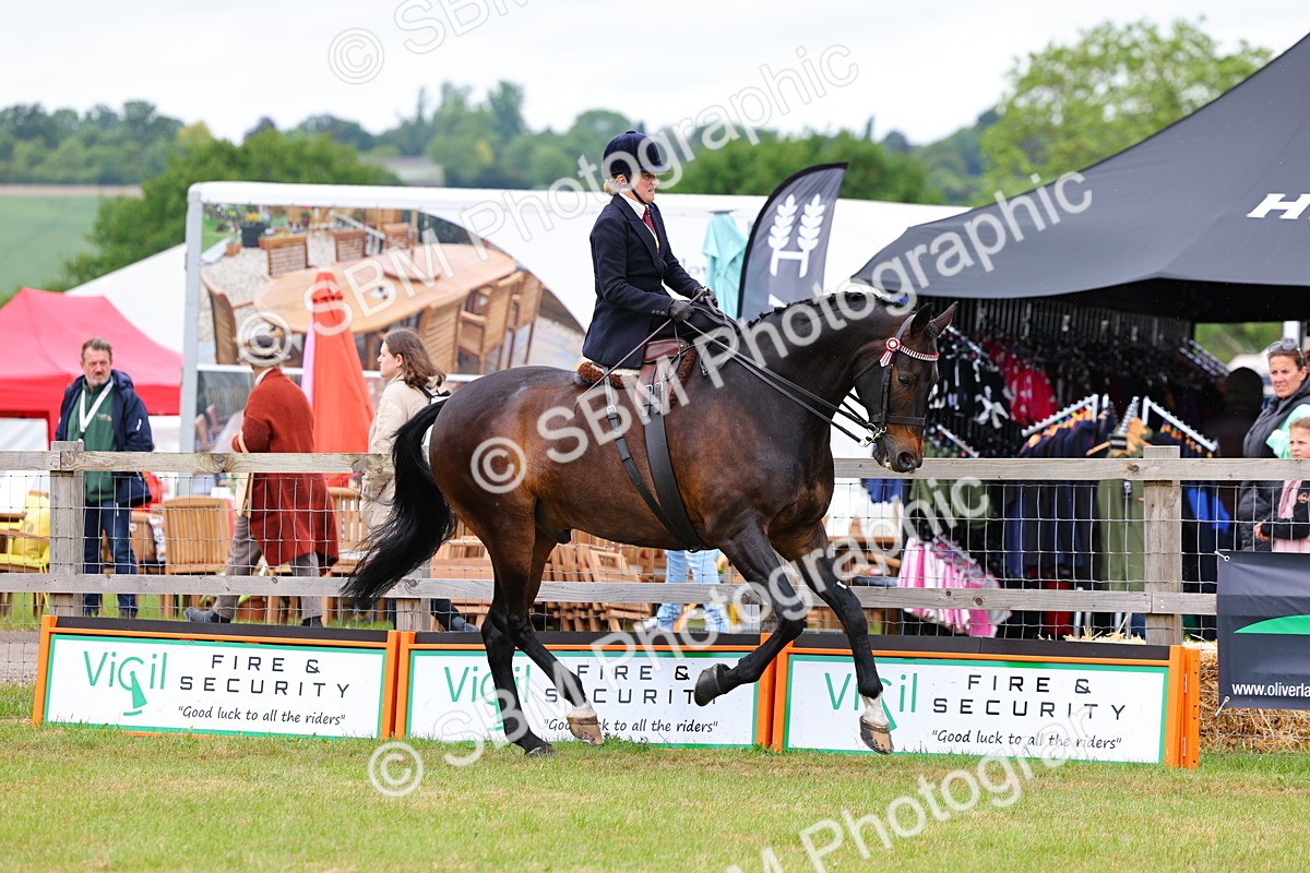 SBM_02898 - Class 9-11 Side Saddle including LIHS Rising Star Ladies Show Horse