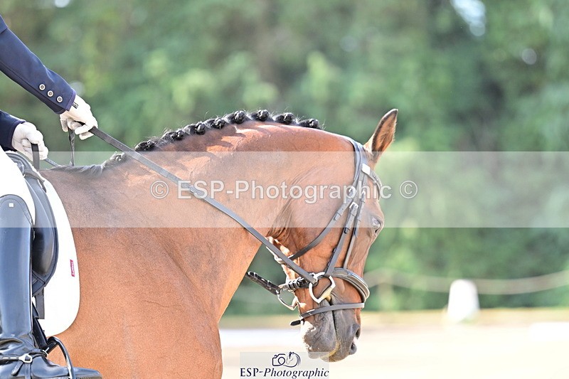 260802A-094421-05047 - Novice Silver start - break