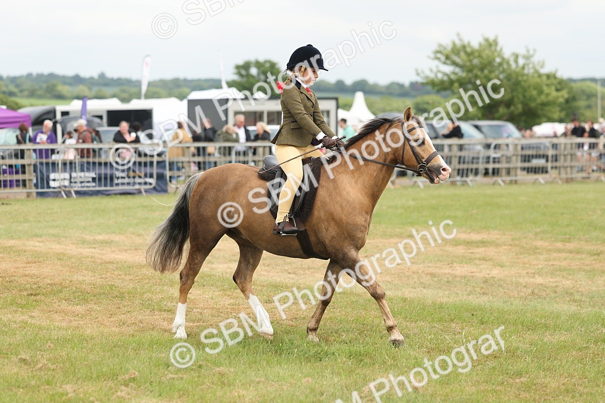 SBM_06874 - Class 74-75 - M&M Lead Rein and First Ridden Pony