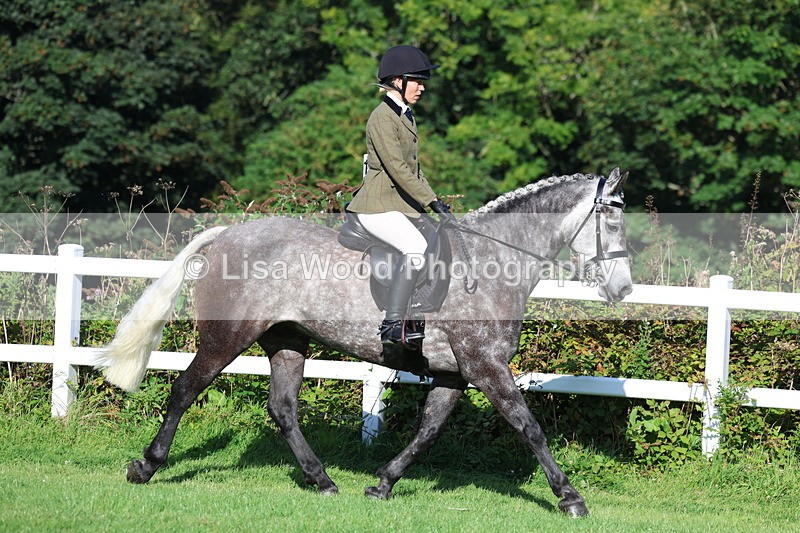 3E7A7563 - Class 1: Novice Working Hunter Pony