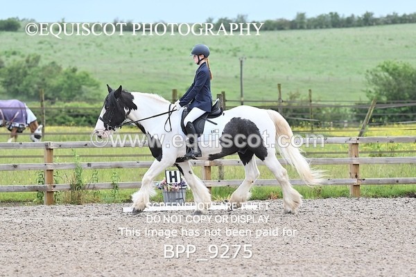 BPP_9275 - 31 E WYLLIE