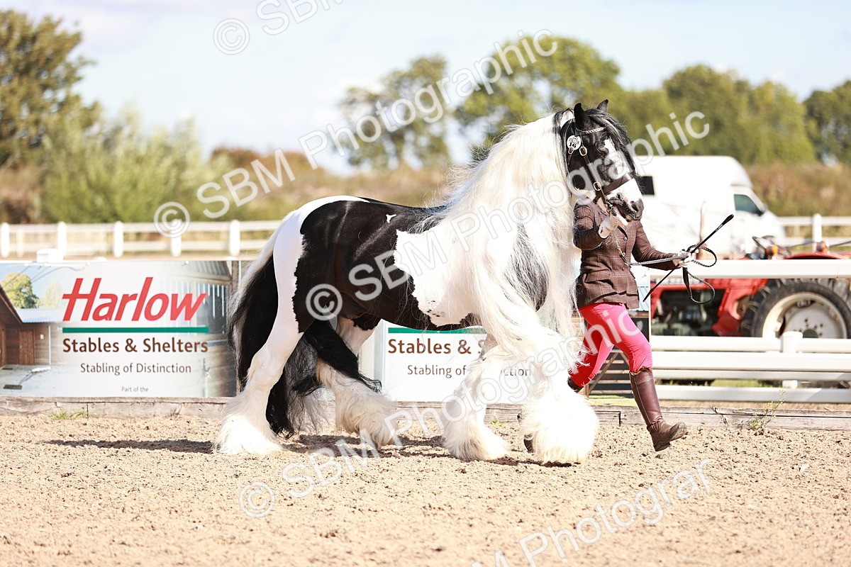 SBM_12572 - Class 404 - IH Traditional - Native Cob
