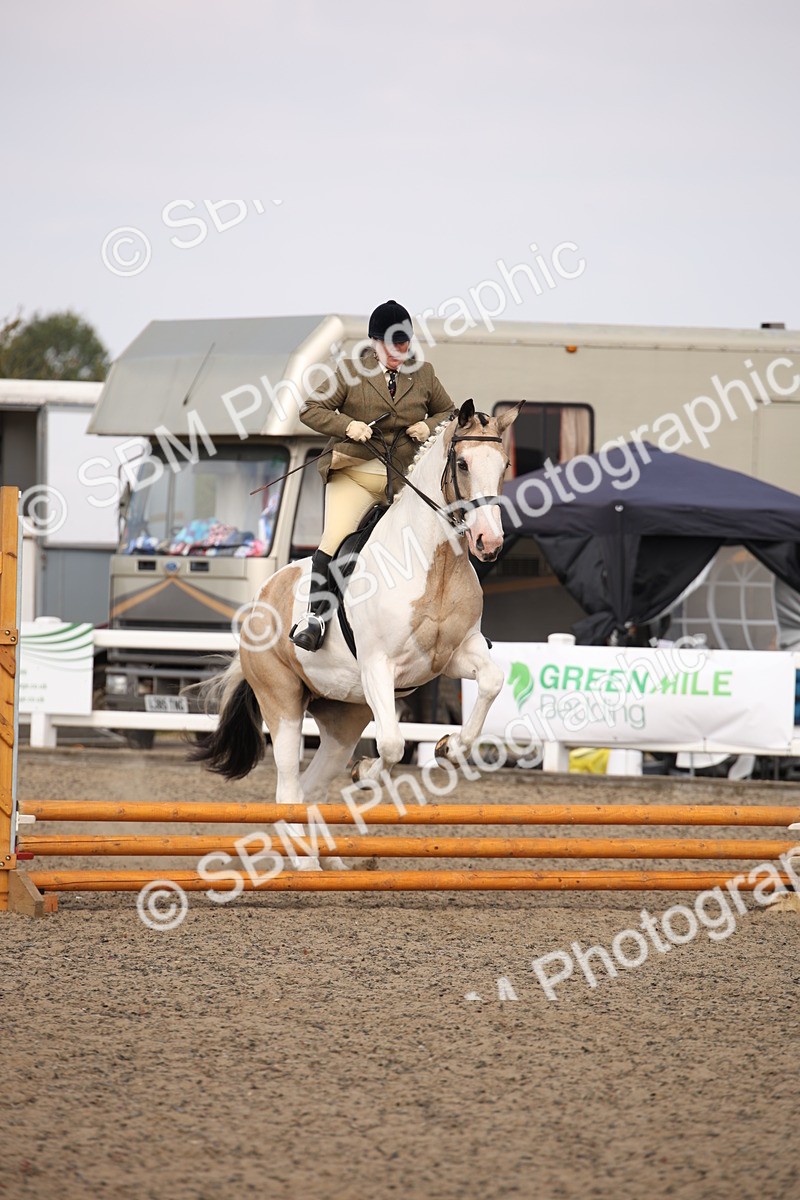 SBM_14200 - Class 407a - Working Veteran 60cm (15-19