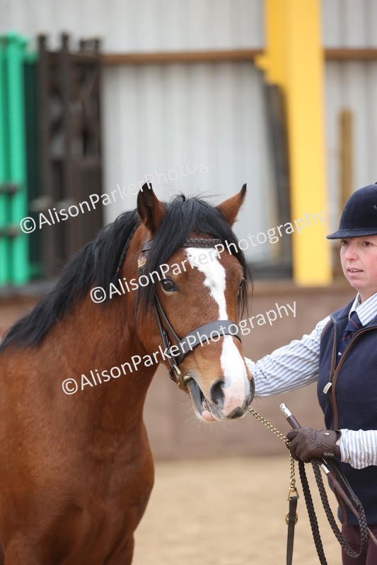 20251109-0937 - Class 26 - 2 and 4 Year Olds