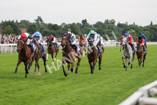 yr19082021r6-11 - Race 6 4.45pm British EBF & Sir Henry Cecil Galtres Stakes