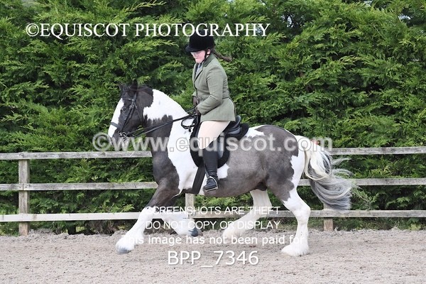 BPP_7346 - RING 1  (RIDDEN HORSES / IN HAND / VETERAN ETC)