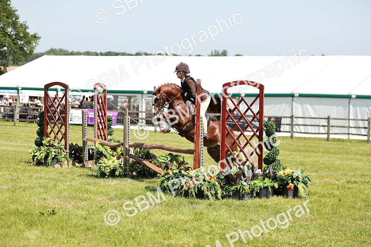 SBM_15502 - Class 108-109 - BSPS LIHS Open Gradle & Nursery Stakes