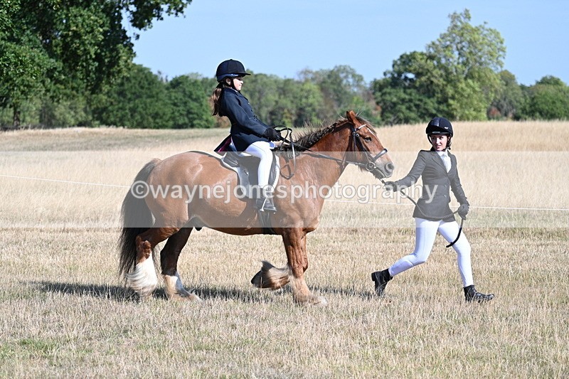 WJ7_2990 - Class 8 Ridden Tack & Turnout