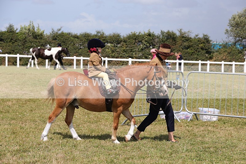 1X9A5026 - Class 36: NPS M&M Lead Rein