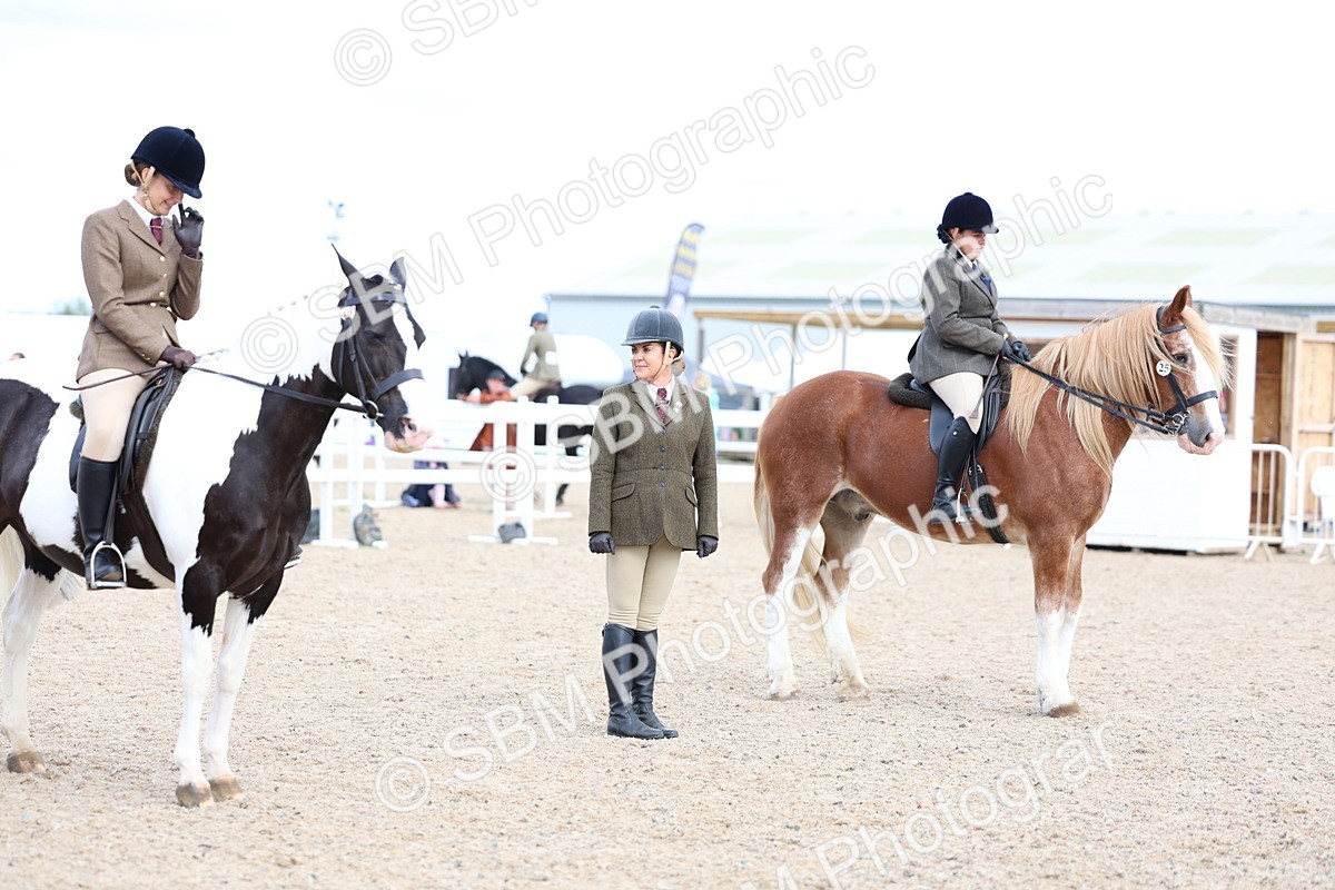 SBM_17269 - Class 315 - Best Horse - Rider Combination
