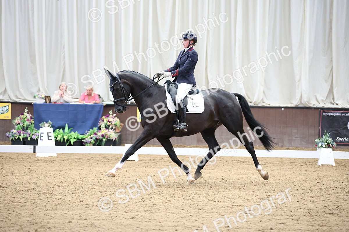 SBM_002211 - Class 5 - Novice 6 Gold - 9.00-10.10
