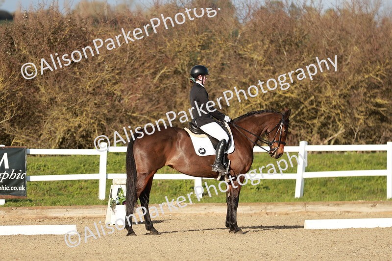 20260314-6250 - CT7 - Elementary 2