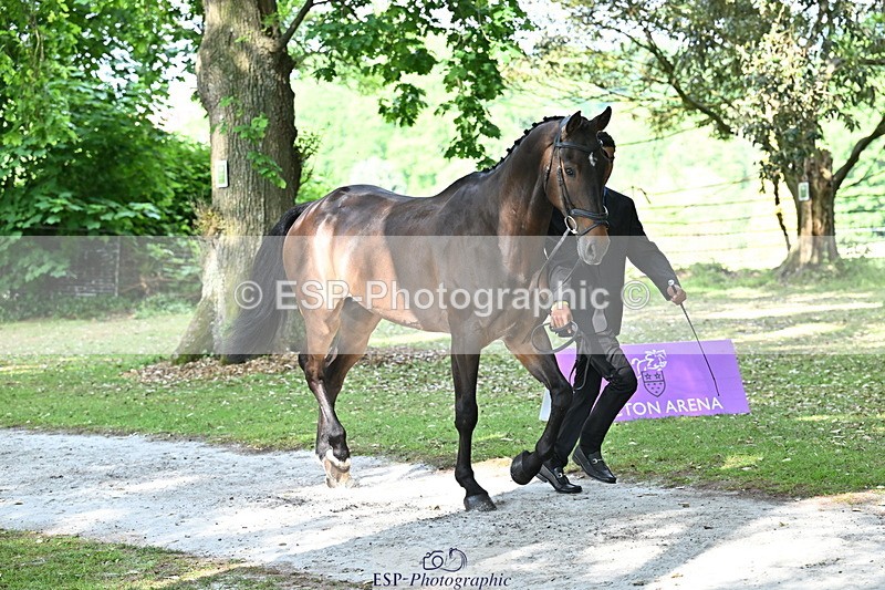 250521A-164334-01299 - C-255-Rupert.Hyde-LEONIDAS.VAN.DE.CRUMELHAEVE