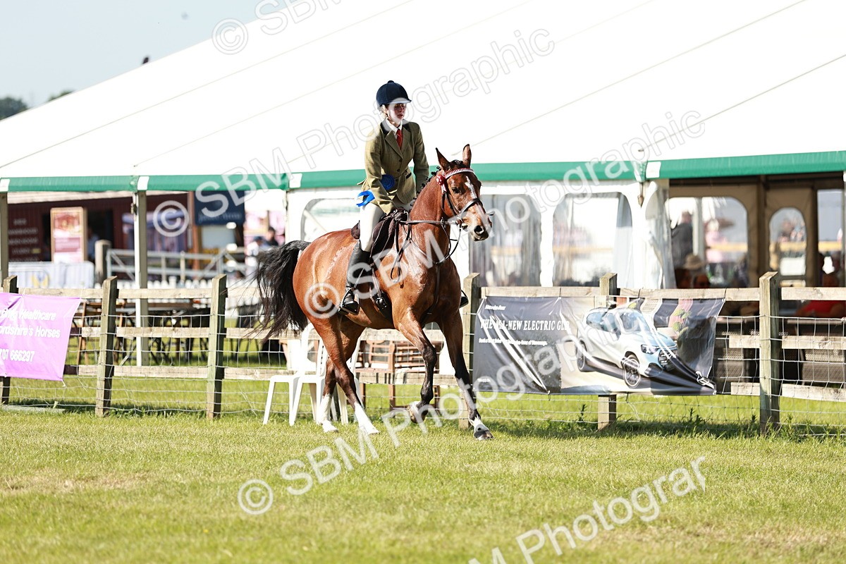 SBM_18957 - Class 114 - RIHS & SEIB Open Working Show Horse
