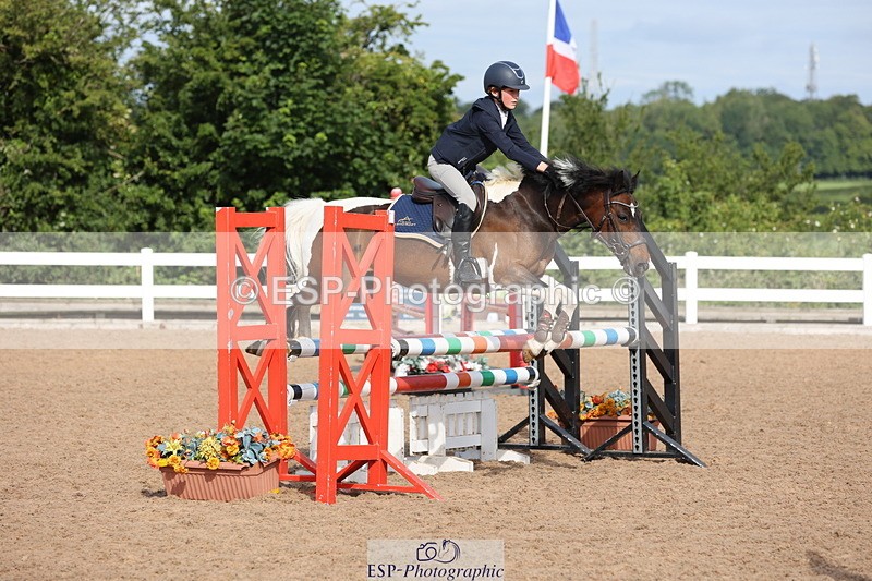 240629A-085427-02763 - Cls 16 British Novice and 80cm Open