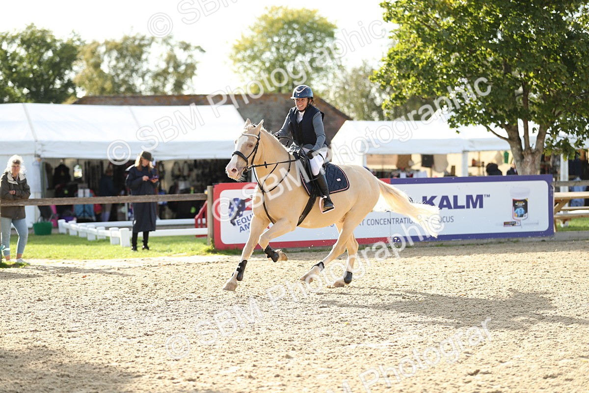 SBM_11447 - J37 - Veteran Rider 75cm