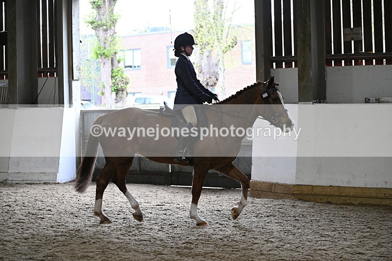 WJ7_3778 - Class 17 Ridden Cob