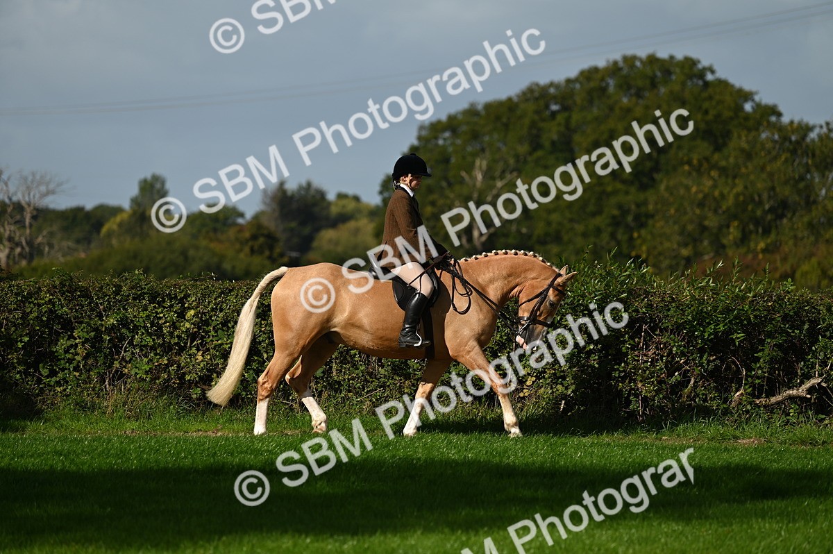 SBM_01354 - S2 - TSR Ridden Horse Showing