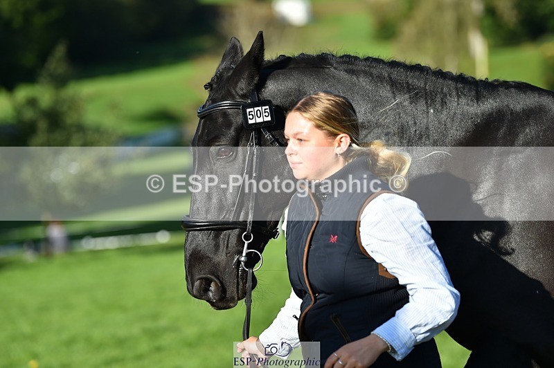 231022-103828-22638 - 505-MR.DARCY-Eleanor.Newcombe-TrotUp+SJ