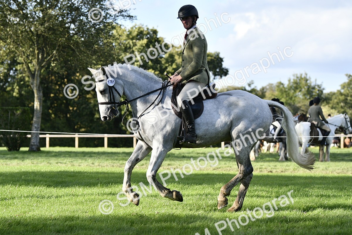 SBM_52218 - S35 - Working Hunter & Working Show Horse
