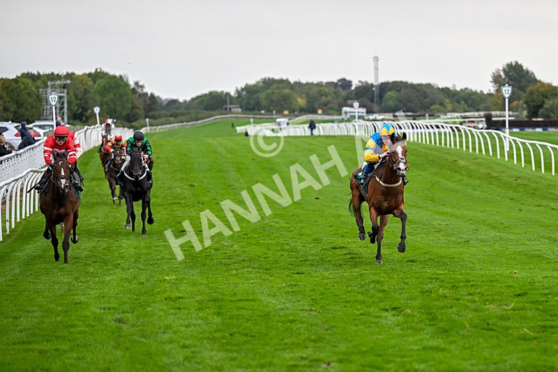 011025-Race 7-Lightning Tiger-0792 - Race 7