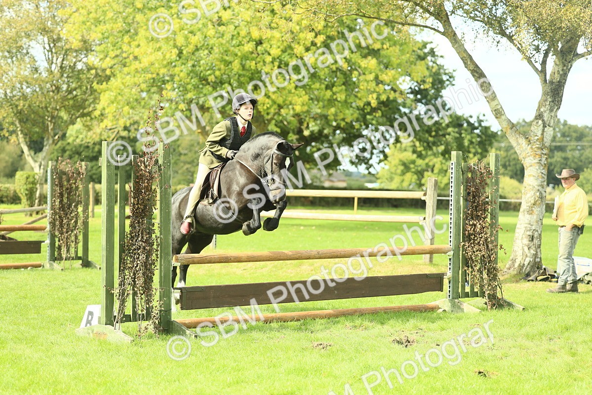 SBM_44746 - S31 - Working Hunter Pony