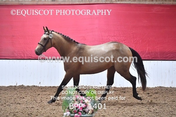 BPP_1401 - MORNING 9AM - 12PM