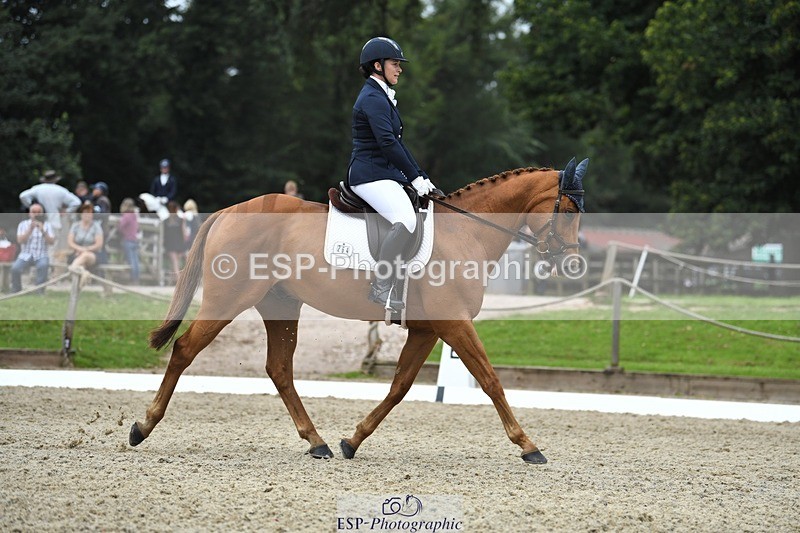 230812-122624-04114 - Cls 6 Novice Silver 12.10 to End