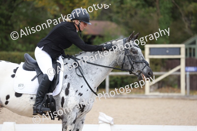 20261010-0718 - Class 6 - Novice 2