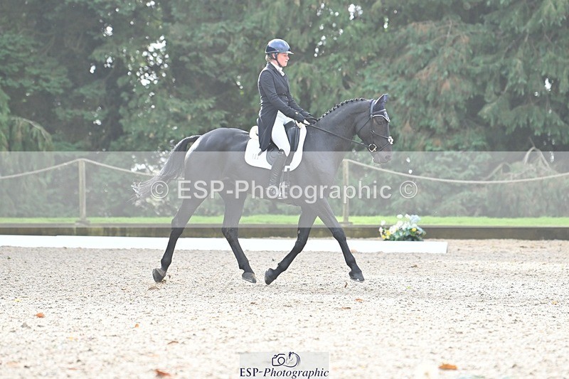 231019-103902-01916 - 102-BAGHEERA-Althea.Bleekman-DR