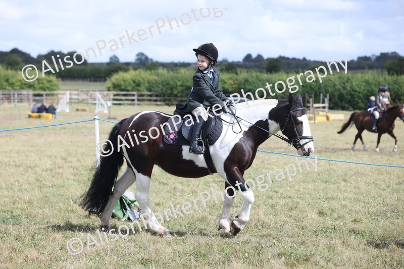 20250831-4186 - Class 20 - Ridden Coloured