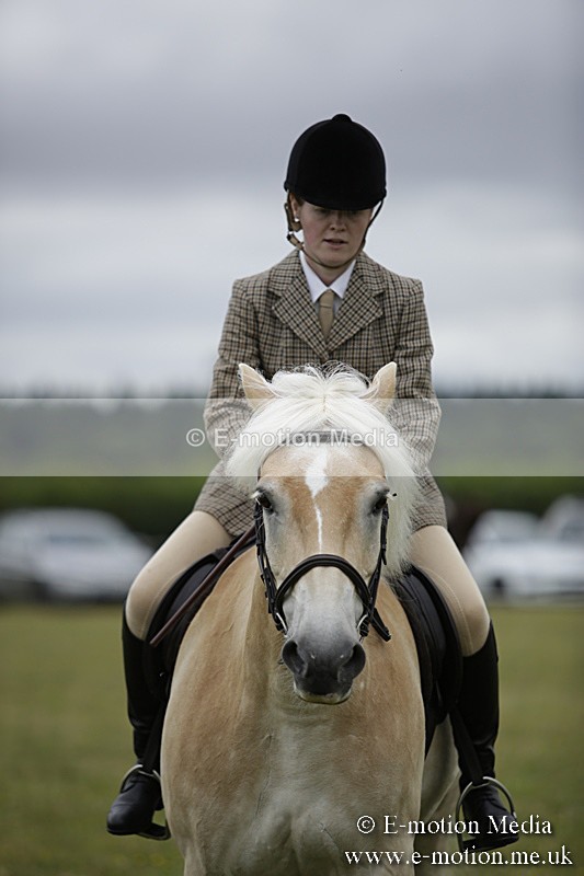 BVR160717-1537 - Ring 1 BVRC Show 16/07/17