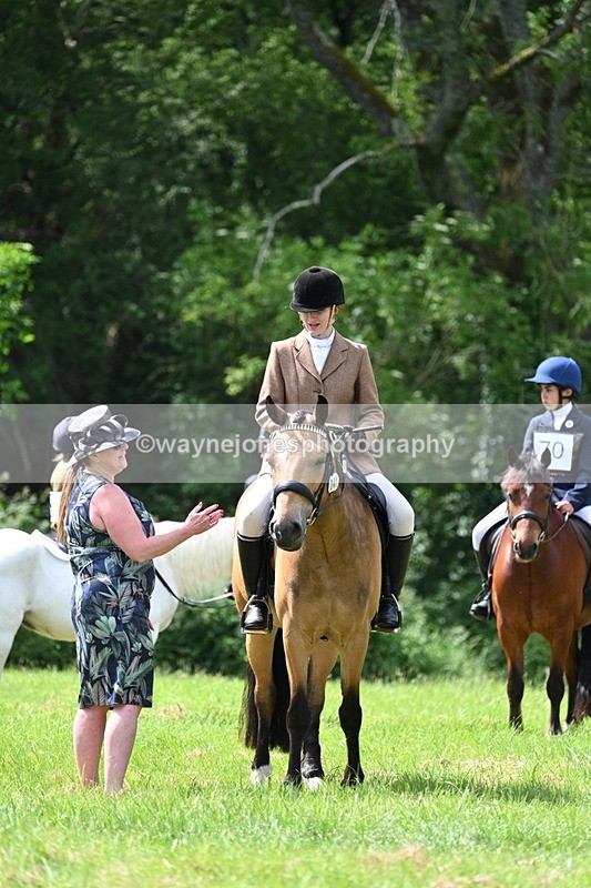 WJ7_1588 - Class 11 Condition & Turnout