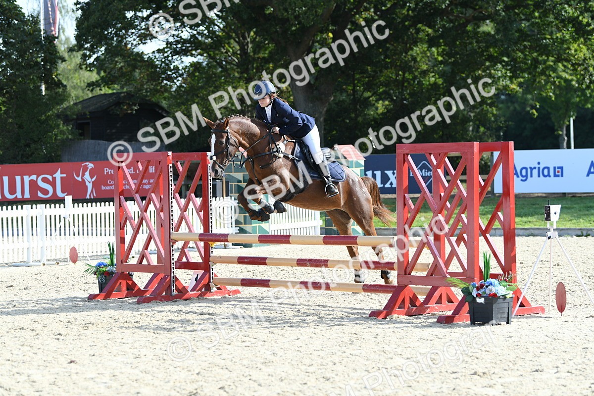 SBM_60775 - j25 - Junior Horse 80cm Championship