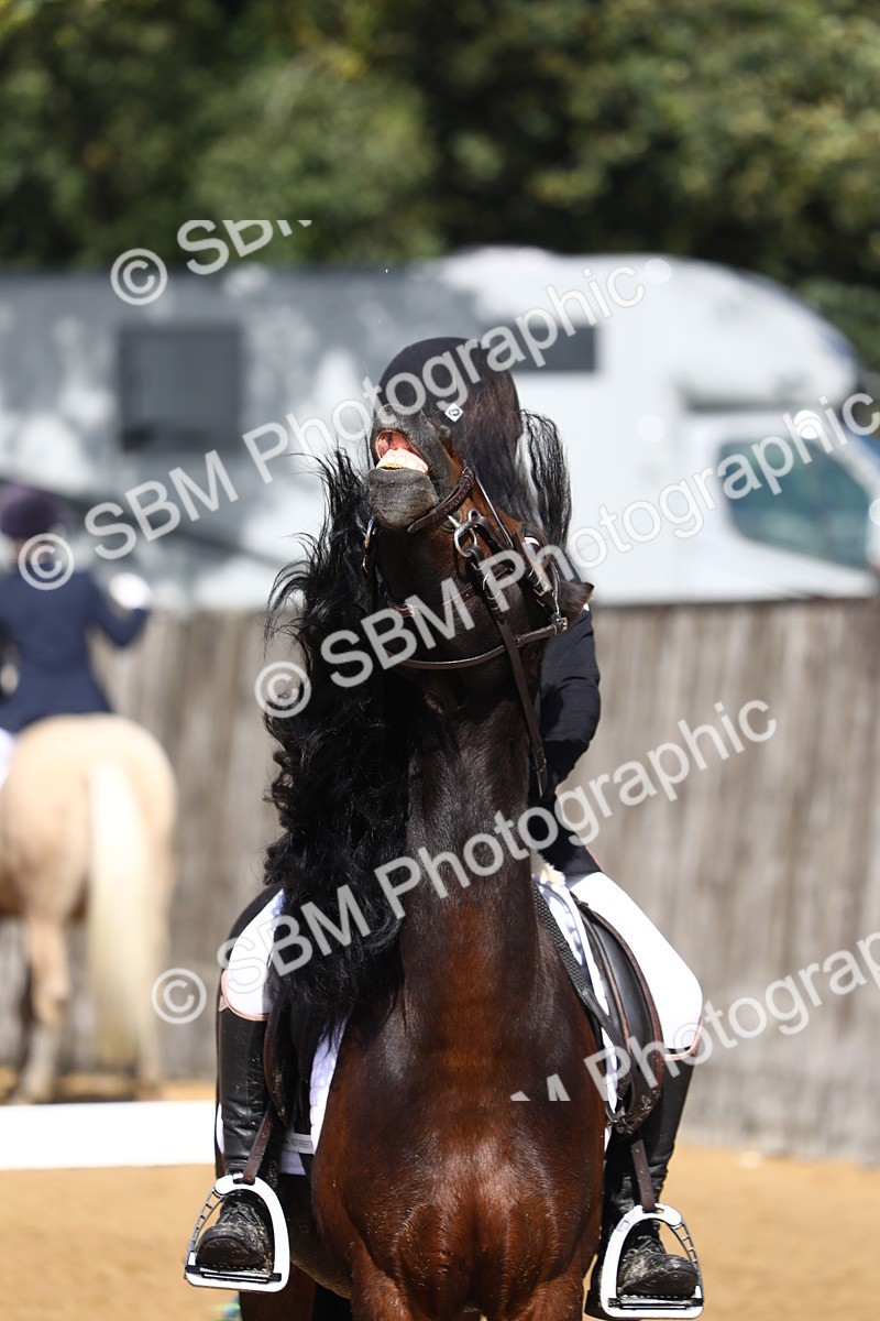 SBM_49077 - D23 - Junior Championship Prelim 1