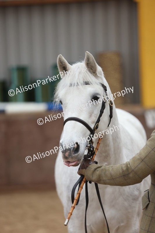 20251109-0933 - Class 26 - 2 and 4 Year Olds