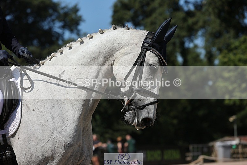 240719-103025-00713 - 198-Louisa_Jenkins-Rosnastraw_Silver_Lady