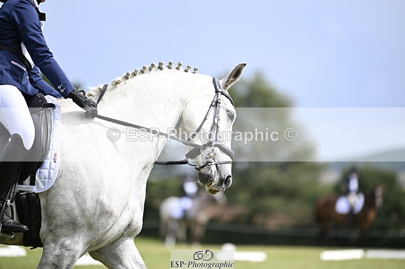 240824X-125116-26573 - D80 Section E and F 12.00 to 13.20