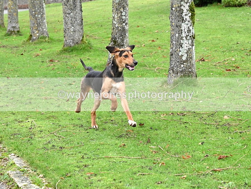 WJ7_9190 - Berks & Bucks Lead Rein - Hendred House 22-12-14