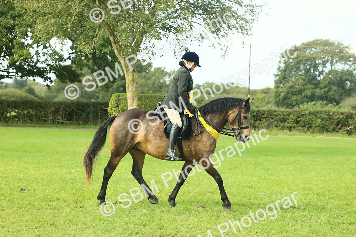 SBM_62716 - S63 - Other Coloured Horse Ridden